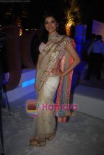 Prachi desai at Aamby Valley India Bridal week DAY 3-1 on 31st Oct 2010 (2).JPG